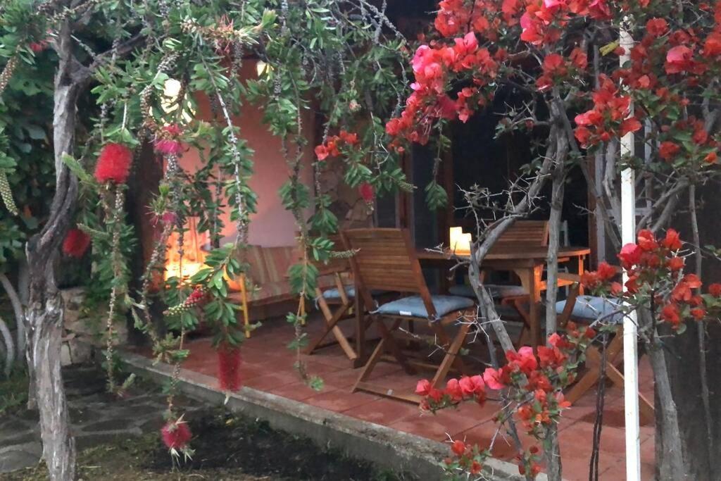 Villetta La Cinta San Teodoro  Exterior photo